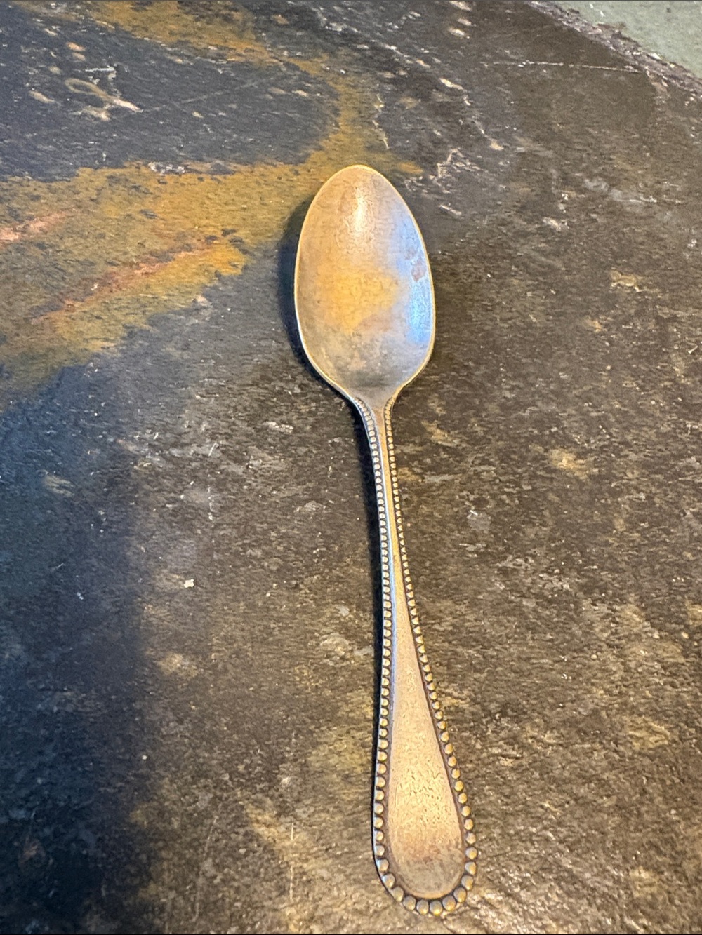 Beaded Edge Stainless Spoon and Silver Tone Spoon